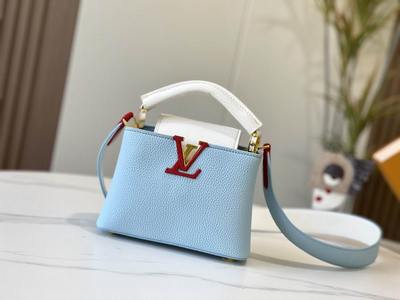 LV Handbags 731